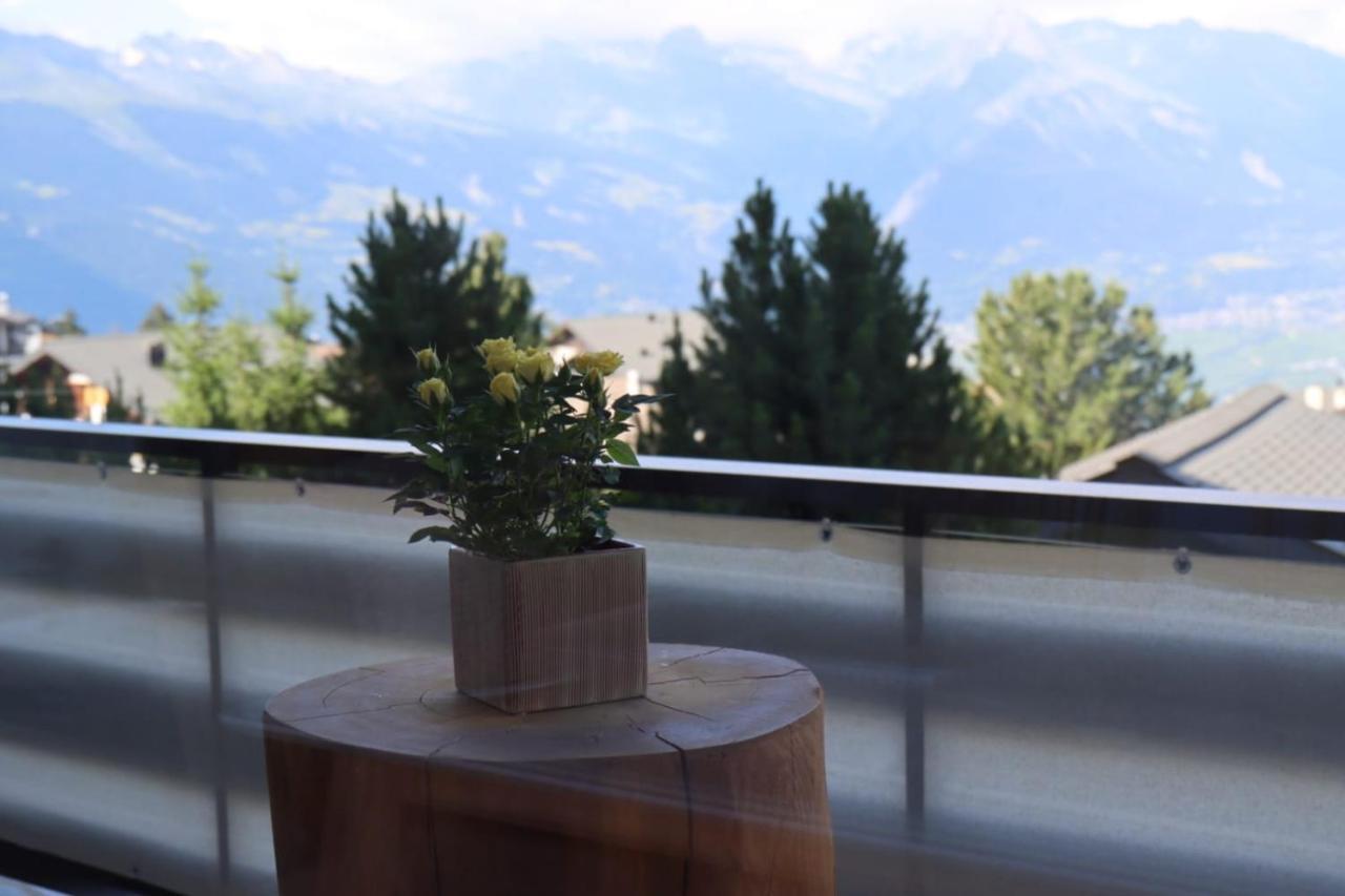 Comme Sur Un Nuage, Appartement Pour 4 Personnes Nendaz Exterior foto